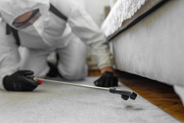 Professional Bed Bug Control technician working in St. Joseph County County, MI